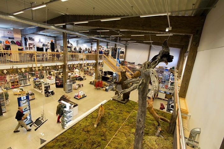 Skogen, fisket och naturen Skogen, fisket och naturen